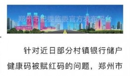 河南银行最新爆料新闻,揭秘神秘资金流向与监管漏洞